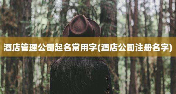 酒店管理公司起名常用字(酒店公司注册名字)