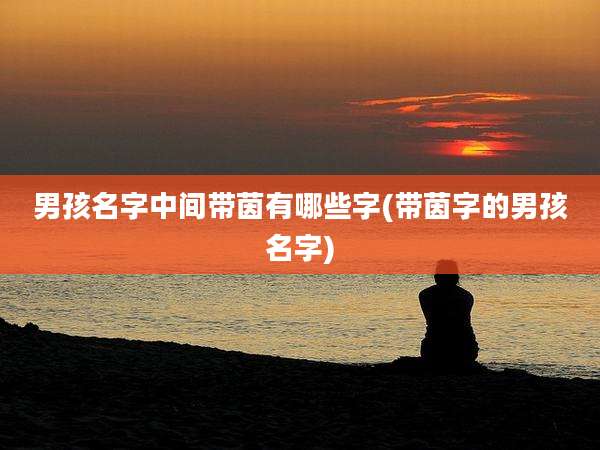 男孩名字中间带茵有哪些字(带茵字的男孩名字)