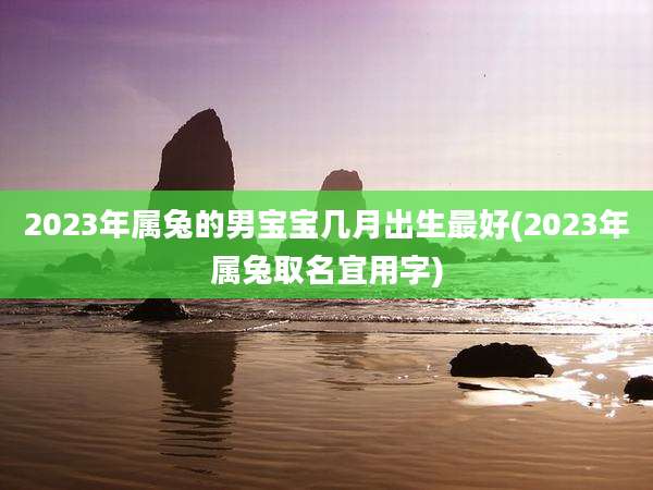 2023年属兔的男宝宝几月出生最好(2023年属兔取名宜用字)