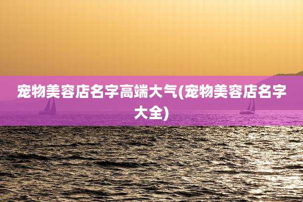宠物美容店名字高端大气(宠物美容店名字大全)