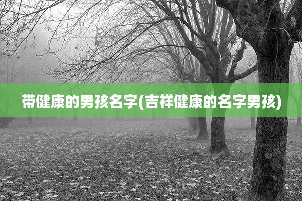 带健康的男孩名字(吉祥健康的名字男孩)