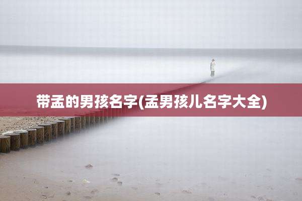 带孟的男孩名字(孟男孩儿名字大全)