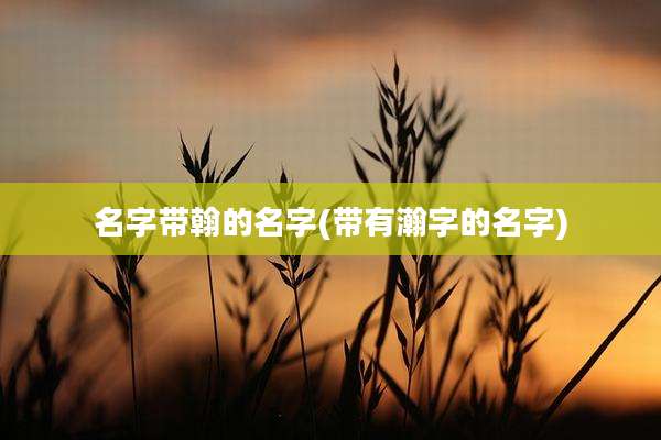 名字带翰的名字(带有瀚字的名字)