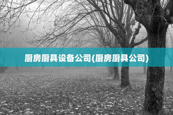 厨房厨具设备公司(厨房厨具公司)