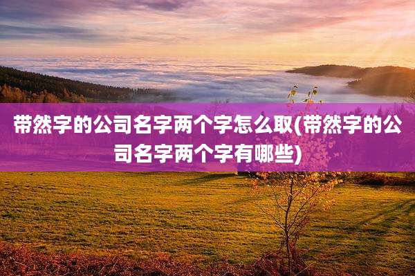 带然字的公司名字两个字怎么取(带然字的公司名字两个字有哪些)