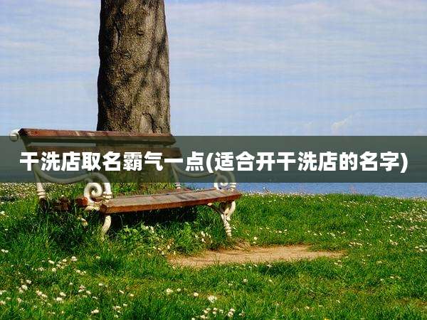 干洗店取名霸气一点(适合开干洗店的名字)