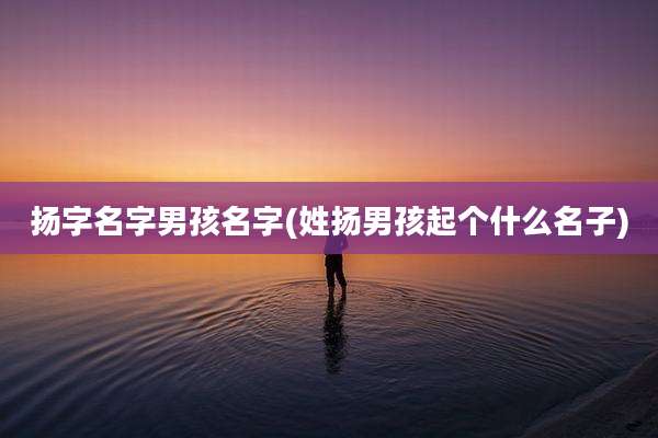 扬字名字男孩名字(姓扬男孩起个什么名子)