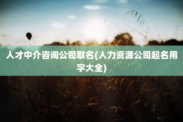 人才中介咨询公司取名(人力资源公司起名用字大全)