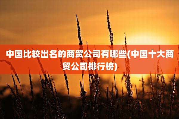 中国比较出名的商贸公司有哪些(中国十大商贸公司排行榜)