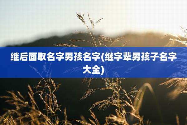 继后面取名字男孩名字(继字辈男孩子名字大全)