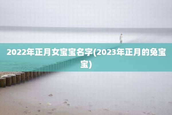 2022年正月女宝宝名字(2023年正月的兔宝宝)