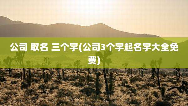 公司 取名 三个字(公司3个字起名字大全免费)