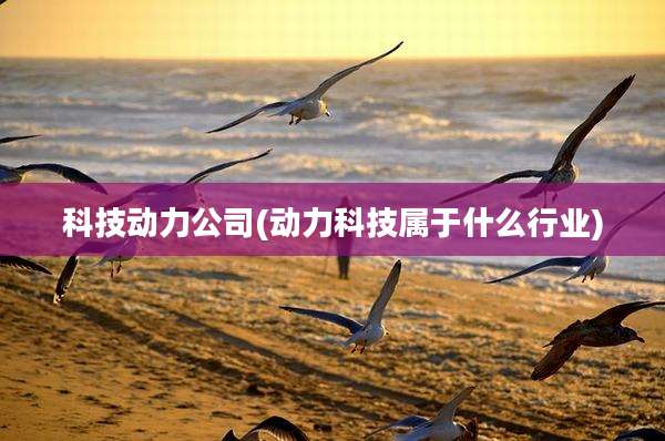 科技动力公司(动力科技属于什么行业)
