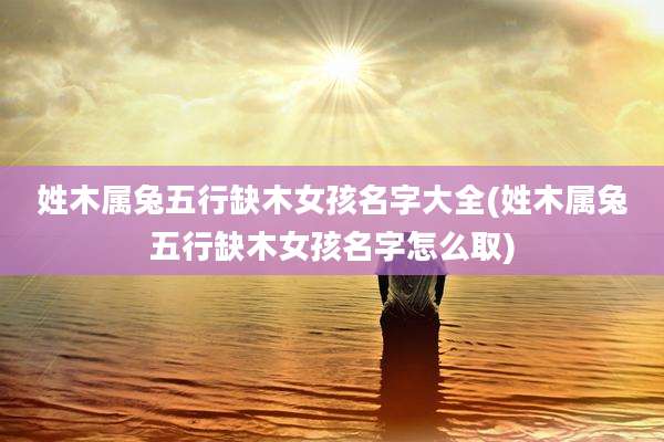 姓木属兔五行缺木女孩名字大全(姓木属兔五行缺木女孩名字怎么取)