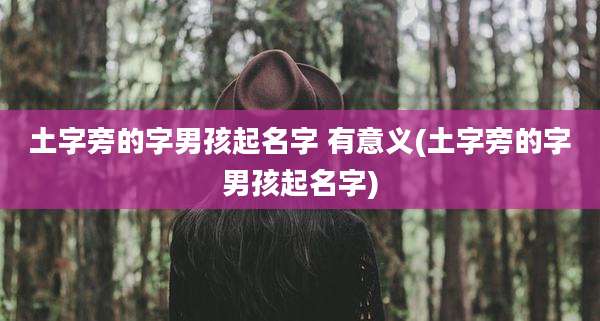 土字旁的字男孩起名字 有意义(土字旁的字男孩起名字)