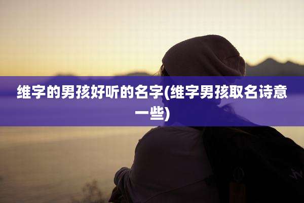 维字的男孩好听的名字(维字男孩取名诗意一些)