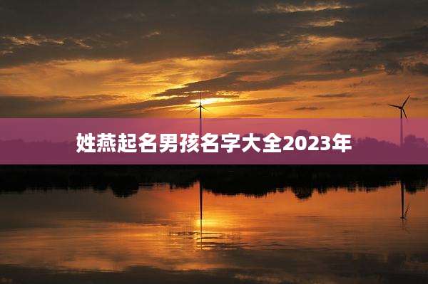 姓燕起名男孩名字大全2023年