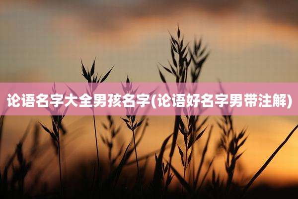 论语名字大全男孩名字(论语好名字男带注解)