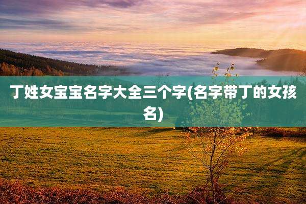丁姓女宝宝名字大全三个字(名字带丁的女孩名)