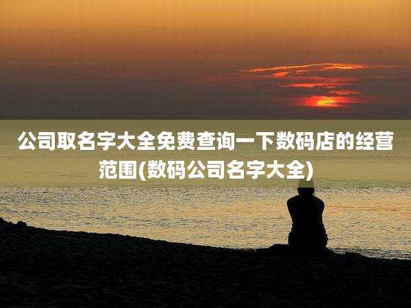 公司取名字大全免费查询一下数码店的经营范围(数码公司名字大全)