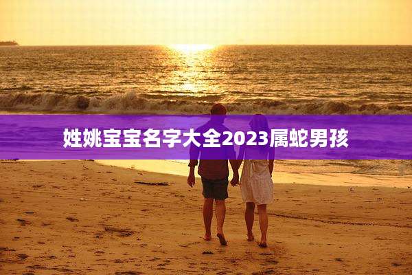 姓姚宝宝名字大全2023属蛇男孩