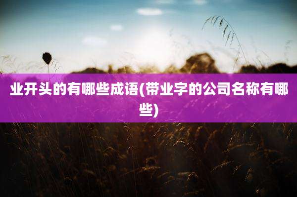 业开头的有哪些成语(带业字的公司名称有哪些)