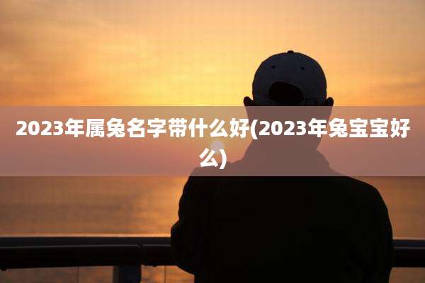 2023年属兔名字带什么好(2023年兔宝宝好么)