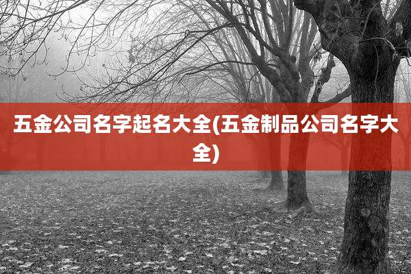 五金公司名字起名大全(五金制品公司名字大全)