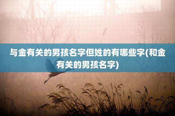与金有关的男孩名字但姓的有哪些字(和金有关的男孩名字)