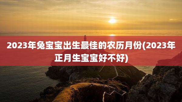 2023年兔宝宝出生最佳的农历月份(2023年正月生宝宝好不好)
