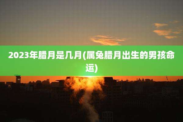 2023年腊月是几月(属兔腊月出生的男孩命运)