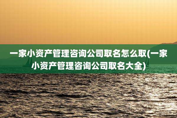 一家小资产管理咨询公司取名怎么取(一家小资产管理咨询公司取名大全)
