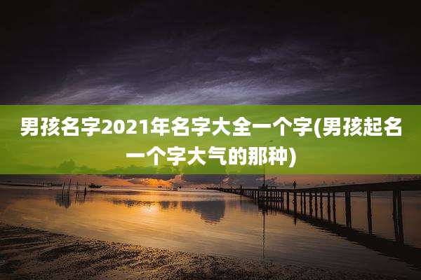 男孩名字2021年名字大全一个字(男孩起名一个字大气的那种)