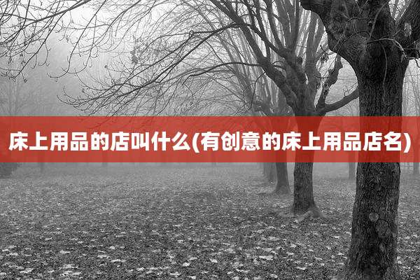 床上用品的店叫什么(有创意的床上用品店名)