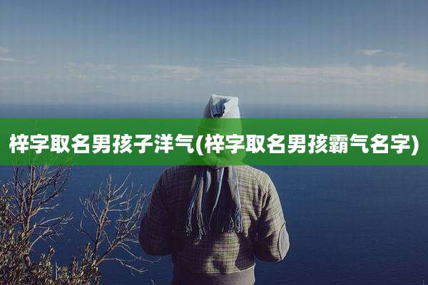 梓字取名男孩子洋气(梓字取名男孩霸气名字)