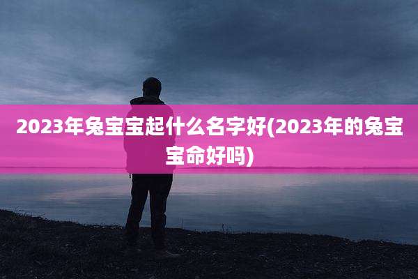 2023年兔宝宝起什么名字好(2023年的兔宝宝命好吗)