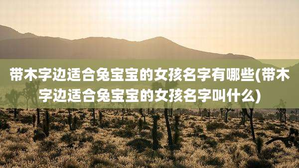 带木字边适合兔宝宝的女孩名字有哪些(带木字边适合兔宝宝的女孩名字叫什么)