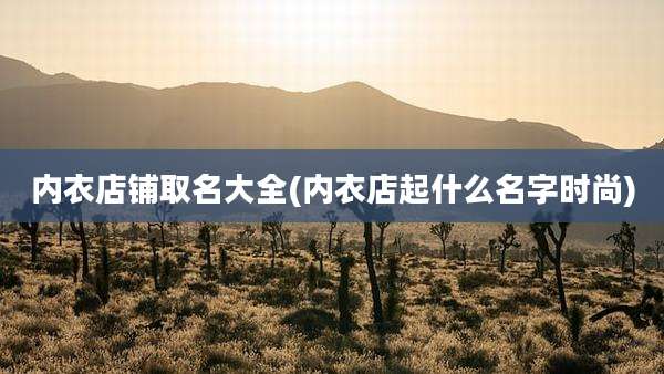 内衣店铺取名大全(内衣店起什么名字时尚)