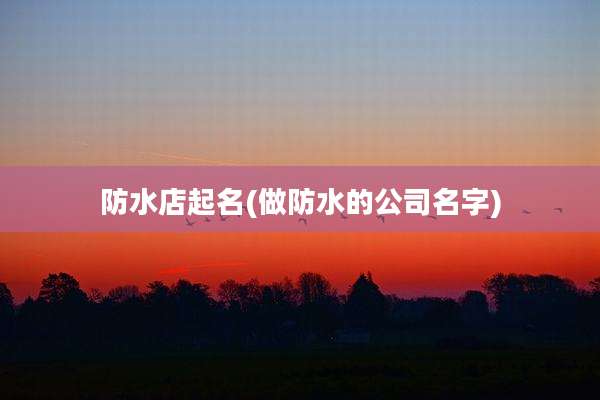 防水店起名(做防水的公司名字)