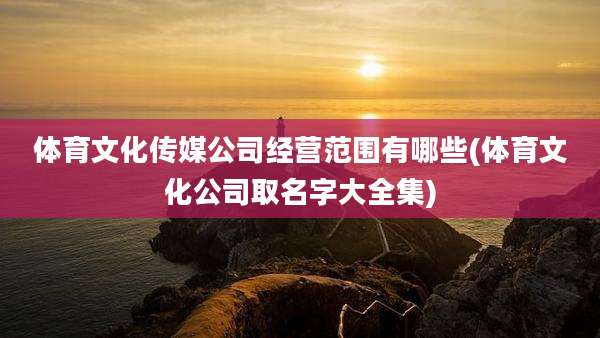 体育文化传媒公司经营范围有哪些(体育文化公司取名字大全集)