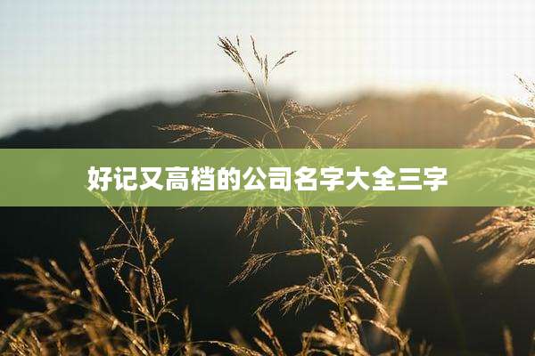 好记又高档的公司名字大全三字