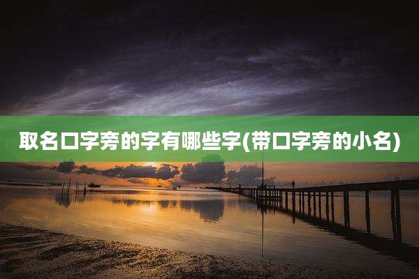 取名口字旁的字有哪些字(带口字旁的小名)