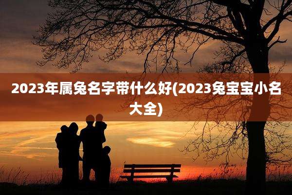 2023年属兔名字带什么好(2023兔宝宝小名大全)