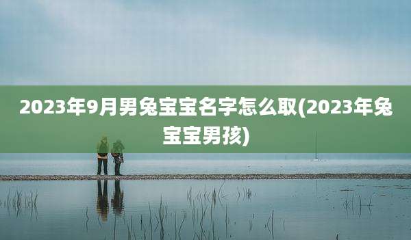 2023年9月男兔宝宝名字怎么取(2023年兔宝宝男孩)