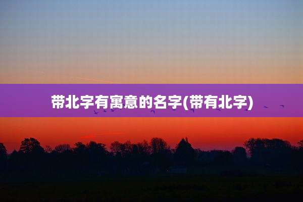 带北字有寓意的名字(带有北字)