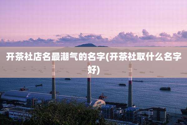 开茶社店名最潮气的名字(开茶社取什么名字好)