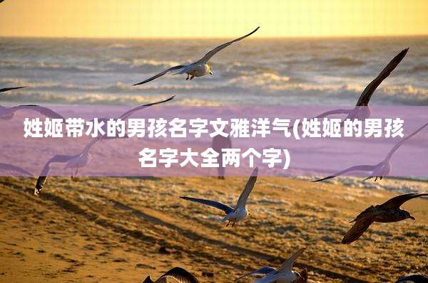 姓姬带水的男孩名字文雅洋气(姓姬的男孩名字大全两个字)