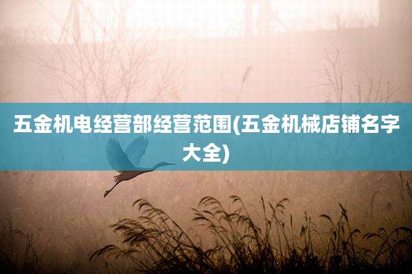 五金机电经营部经营范围(五金机械店铺名字大全)