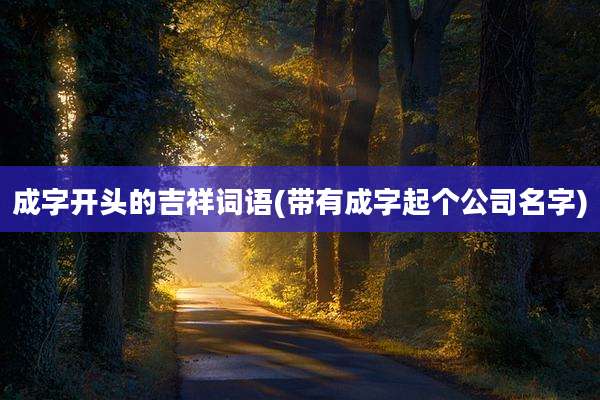 成字开头的吉祥词语(带有成字起个公司名字)
