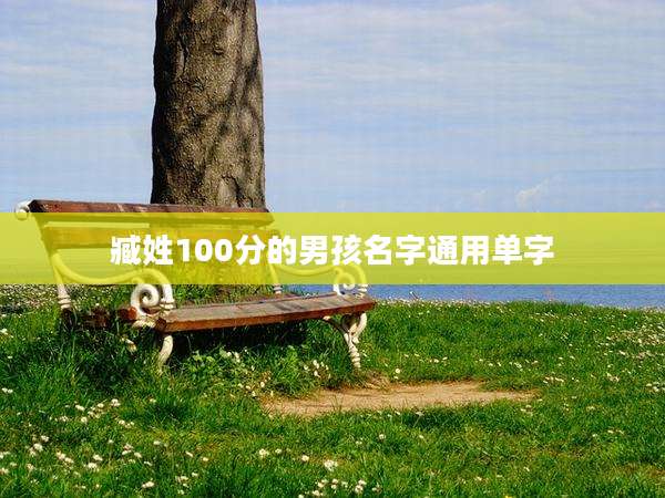臧姓100分的男孩名字通用单字